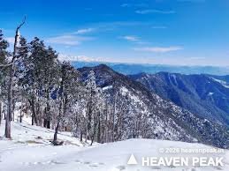 Snow-covered forest on the Kedarkantha trek